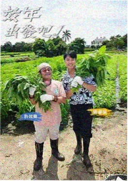中国好声音